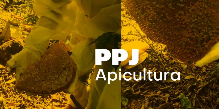 Leia mais sobre o artigo PPJ #007 – Apicultura